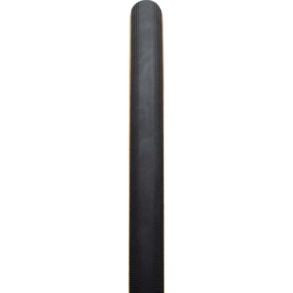 Specialized Turbo Cotton Tire